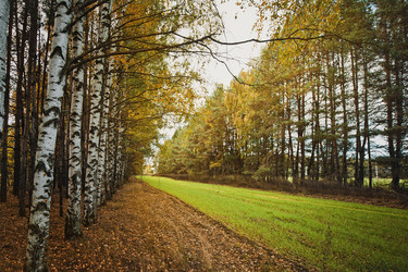 Similar image 6715726