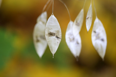 Similar image 6716061