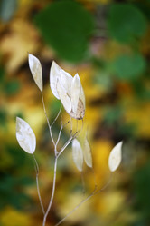 Similar image 6716063