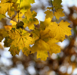 Similar image 6716065