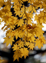 Similar image 6716068