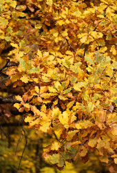 Similar image 6716071