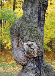 Similar image 6716072