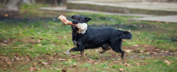 Similar image 6716439