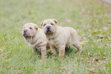 Similar image 6716442