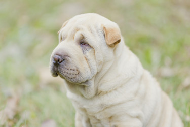 Similar image 6716444