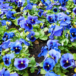 Similar image 6716450