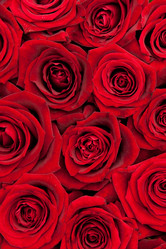 Similar image 6716452