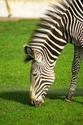 Similar image 6716453