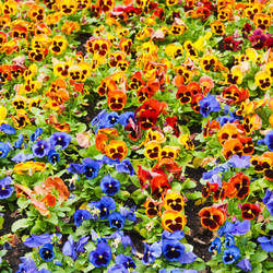 Similar image 6716458