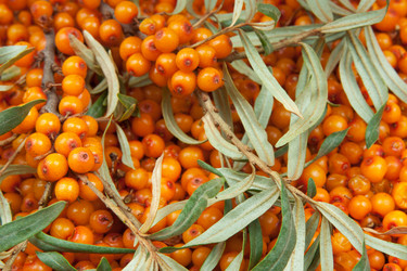 Similar image 6716463