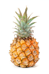 Similar image 6716480