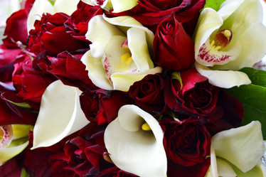 Similar image 6716520