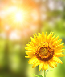 Similar image 6716568