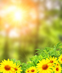 Similar image 6716569