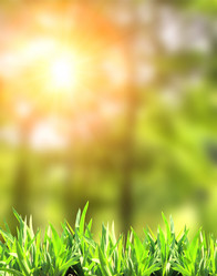 Similar image 6716599