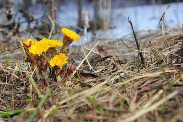 Similar image 6716671