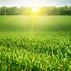 Similar image 6716783