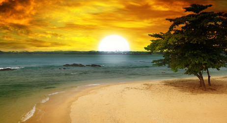 Similar image 6716815