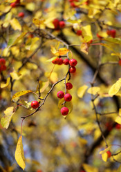 Similar image 6716843