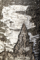 Similar image 6716845