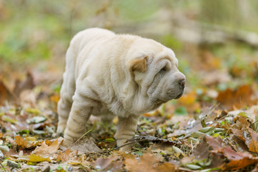 Similar image 6716908