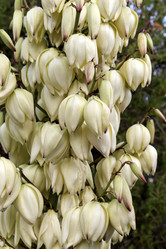 Similar image 6716932