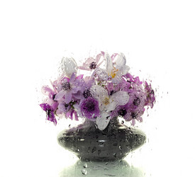 Similar image 6716936