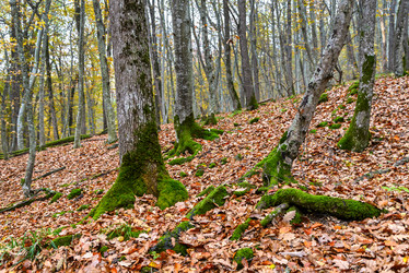 Similar image 6716983