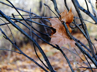 Similar image 6717030