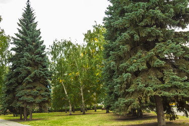 Similar image 6717046