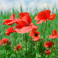 Similar image 6717060