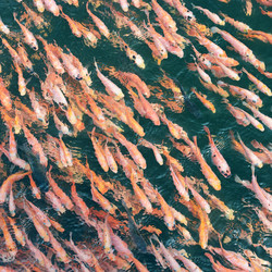 Similar image 6717062