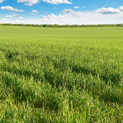 Similar image 6717063