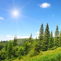 Similar image 6717067