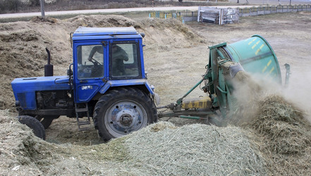 Similar image 6717096