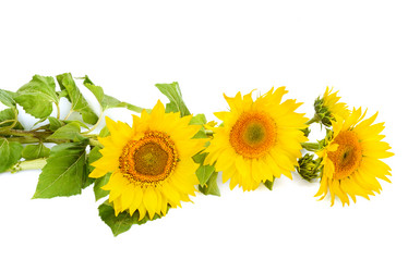 Similar image 6717472