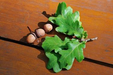 Similar image 6717473