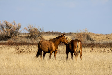 Similar image 6717535