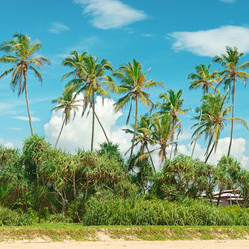 Similar image 6717557