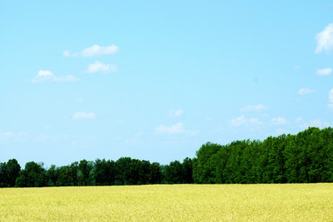 Similar image 6717603