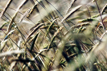 Similar image 6717604