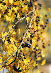 Similar image 6717630