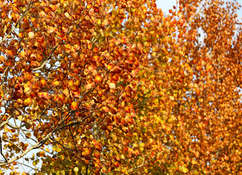 Similar image 6717644