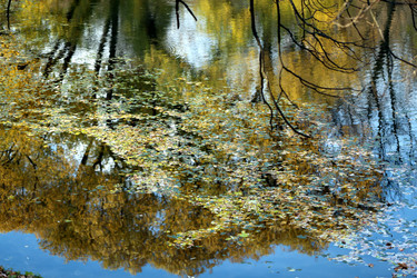 Similar image 6717646