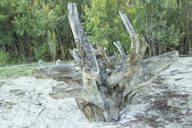 Similar image 6717684