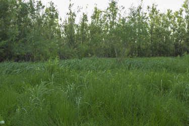 Similar image 6717686