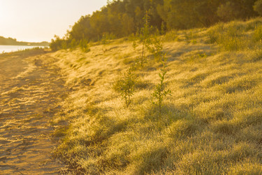 Similar image 6717690