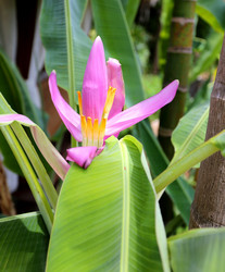 Similar image 6717732