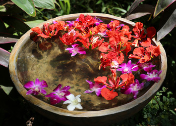 Similar image 6717739